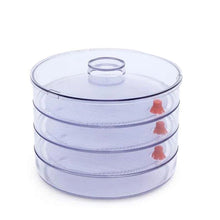 070 Plastic 4 Compartment Sprout Maker, White Smart Gadget Live